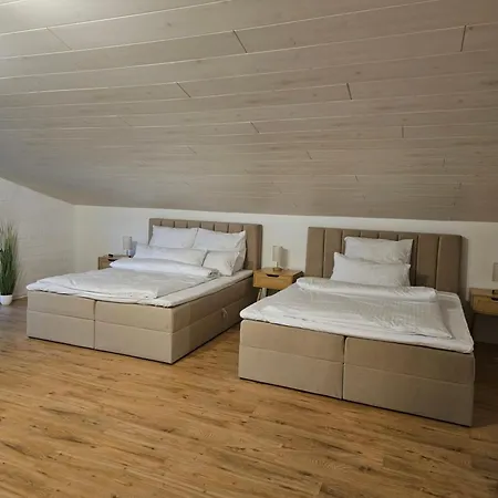 Well & Fit Exklusive Ferienwohnung Fuer 7 Personen Bayreuth Exterior foto